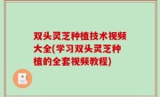 双头灵芝种植技术视频大全(学习双头灵芝种植的全套视频教程)