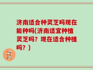 济南适合种灵芝吗现在能种吗(济南适宜种植灵芝吗？现在适合种植吗？)