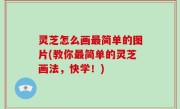 灵芝怎么画最简单的图片(教你最简单的灵芝画法，快学！)