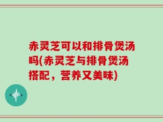 赤灵芝可以和排骨煲汤吗(赤灵芝与排骨煲汤搭配，营养又美味)