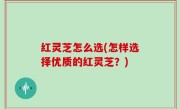 红灵芝怎么选(怎样选择优质的红灵芝？)