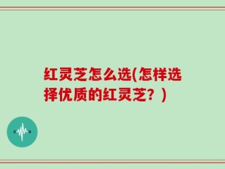 红灵芝怎么选(怎样选择优质的红灵芝？)