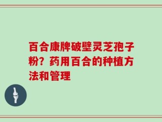 百合康牌破壁灵芝孢子粉？药用百合的种植方法和管理