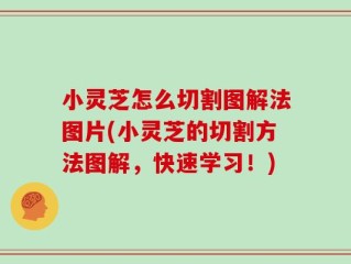 小灵芝怎么切割图解法图片(小灵芝的切割方法图解，快速学习！)