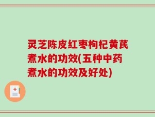 灵芝陈皮红枣枸杞黄芪煮水的功效(五种中药煮水的功效及好处)