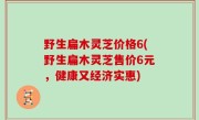 野生扁木灵芝价格6(野生扁木灵芝售价6元，健康又经济实惠)