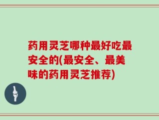 药用灵芝哪种最好吃最安全的(最安全、最美味的药用灵芝推荐)