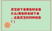 灵芝掉下来黄色粉末是什么(黄色粉末掉下来，这是灵芝的何种状态？)