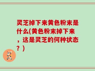 灵芝掉下来黄色粉末是什么(黄色粉末掉下来，这是灵芝的何种状态？)