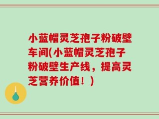 小蓝帽灵芝孢子粉破壁车间(小蓝帽灵芝孢子粉破壁生产线，提高灵芝营养价值！)