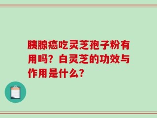胰腺癌吃灵芝孢子粉有用吗？白灵芝的功效与作用是什么？