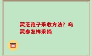 灵芝孢子采收方法？乌灵参怎样采摘