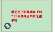 灵芝孢子粉是鹿身上的？什么是纯正的灵芝孢子粉