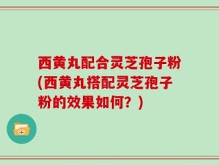 西黄丸配合灵芝孢子粉(西黄丸搭配灵芝孢子粉的效果如何？)