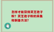 怎样才能获得灵芝孢子粉？灵芝孢子粉的采集和制备方法？