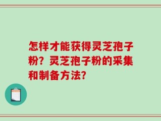 怎样才能获得灵芝孢子粉？灵芝孢子粉的采集和制备方法？