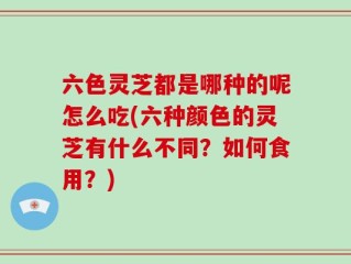 六色灵芝都是哪种的呢怎么吃(六种颜色的灵芝有什么不同？如何食用？)
