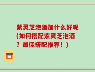 紫灵芝泡酒加什么好呢(如何搭配紫灵芝泡酒？最佳搭配推荐！)