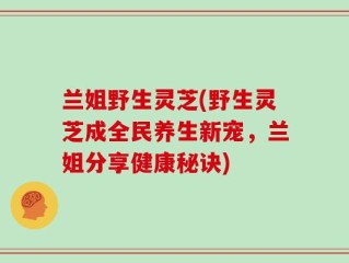 兰姐野生灵芝(野生灵芝成全民养生新宠，兰姐分享健康秘诀)