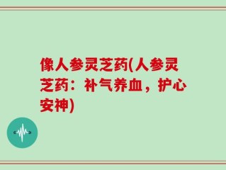 像人参灵芝药(人参灵芝药：补气养血，护心安神)