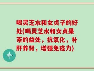 喝灵芝水和女贞子的好处(喝灵芝水和女贞果茶的益处，抗氧化，补肝养肾，增强免疫力)