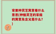 家里种灵芝寓意着什么意思(种植灵芝的家庭的寓意及含义是什么？)