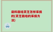 袋料栽培灵芝怎样采摘的(灵芝栽培的采摘方法)