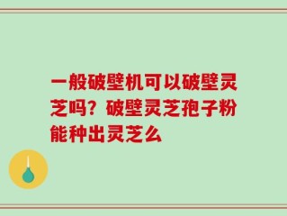 一般破壁机可以破壁灵芝吗？破壁灵芝孢子粉能种出灵芝么