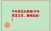 千年灵芝大表哥(千年灵芝之王，重磅出击！)