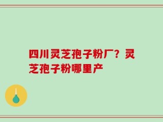 四川灵芝孢子粉厂？灵芝孢子粉哪里产