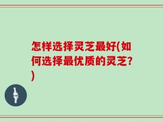 怎样选择灵芝最好(如何选择最优质的灵芝？)