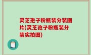 灵芝孢子粉瓶装分装图片(灵芝孢子粉瓶装分装实拍图)