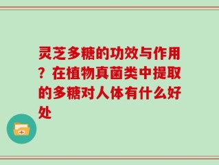 灵芝多糖的功效与作用？在植物真菌类中提取的多糖对人体有什么好处