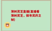 薄树灵芝直播(直播看薄树灵芝，探寻灵药之秘)