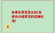 谷老头灵芝怎么吃(谷老头介绍灵芝的正确吃法)