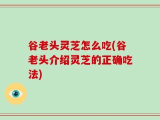 谷老头灵芝怎么吃(谷老头介绍灵芝的正确吃法)