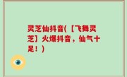灵芝仙抖音(【飞舞灵芝】火爆抖音，仙气十足！)