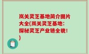 岚关灵芝基地简介图片大全(岚关灵芝基地：探秘灵芝产业链全貌！)