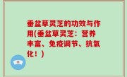 垂盆草灵芝的功效与作用(垂盆草灵芝：营养丰富、免疫调节、抗氧化！)