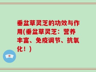 垂盆草灵芝的功效与作用(垂盆草灵芝：营养丰富、免疫调节、抗氧化！)
