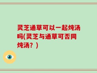 灵芝通草可以一起炖汤吗(灵芝与通草可否同炖汤？)