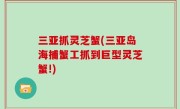 三亚抓灵芝蟹(三亚岛海捕蟹工抓到巨型灵芝蟹!)