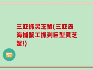 三亚抓灵芝蟹(三亚岛海捕蟹工抓到巨型灵芝蟹!)
