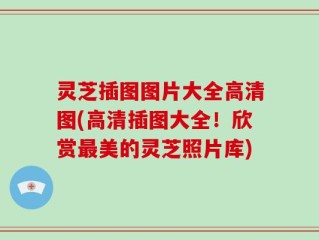 灵芝插图图片大全高清图(高清插图大全！欣赏最美的灵芝照片库)