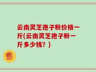 云南灵芝孢子粉价格一斤(云南灵芝孢子粉一斤多少钱？)