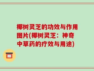 椰树灵芝的功效与作用图片(椰树灵芝：神奇中草药的疗效与用途)