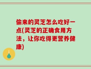 偷来的灵芝怎么吃好一点(灵芝的正确食用方法，让你吃得更营养健康)