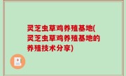 灵芝虫草鸡养殖基地(灵芝虫草鸡养殖基地的养殖技术分享)