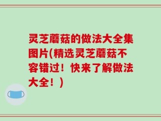 灵芝蘑菇的做法大全集图片(精选灵芝蘑菇不容错过！快来了解做法大全！)