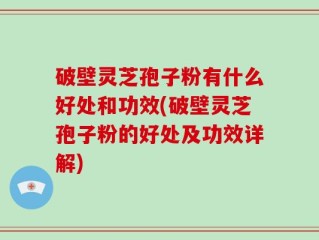 破壁灵芝孢子粉有什么好处和功效(破壁灵芝孢子粉的好处及功效详解)